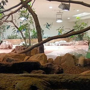Scarlet Macaw Enclosure and behind them the Giant Tortoise/Shorebird Enclosure