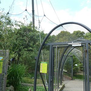 Walk through aviary for wading birds