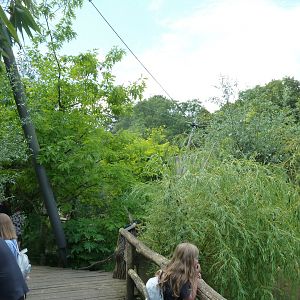 Walk through aviary for wading birds