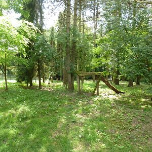 Striped hyena enclosure
