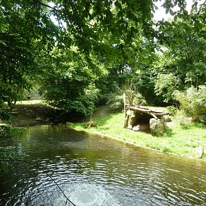 Sumatran tiger enclosure