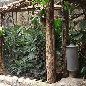 Lower part of Toco Toucan Aviary