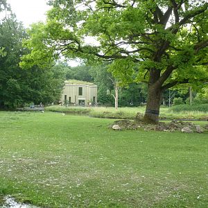 Afrika panorama with elephant house in the background