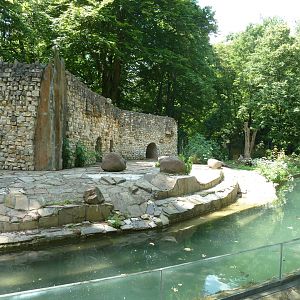 Former bear enclosure