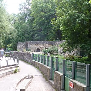Former bear enclosure