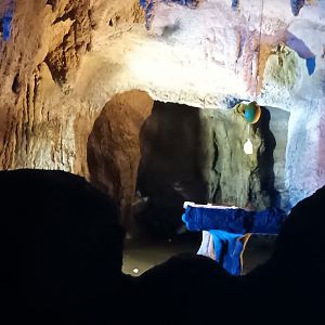 Sebas short tailed Bat Walk through Enclosure