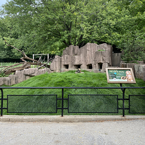Prairie Dogs Renovated home
