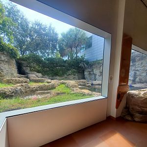 MODS - River Otter enclosure