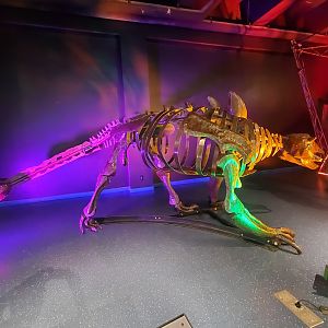 MODS - Animatronic dinosaurs