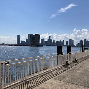 View from the front door