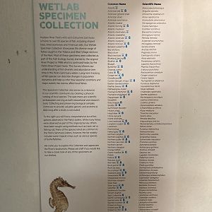 Wetlab Species Collection