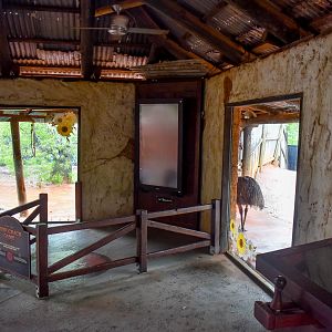 Dingo and Red Kangaroo/Emu Viewing Windows