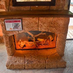 Stimson's Python Enclosure