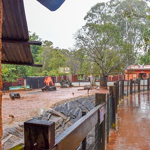 Red Kangaroo/Emu Enclosure
