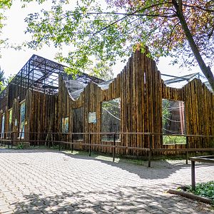 Enclosures of monkeys