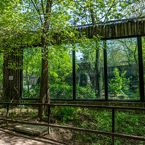 Brown Bear enclosure