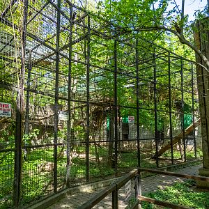 Jaguar enclosure No 2