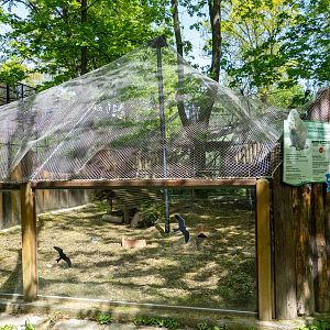 enclosure of prairie dog