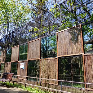 enclosure of red ruffed lemur