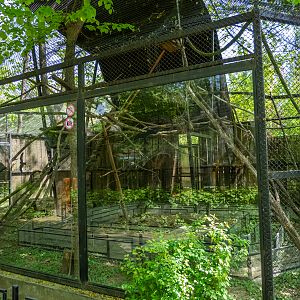 enclosure of pine squirrel