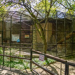 Enclosure of tiger No 1