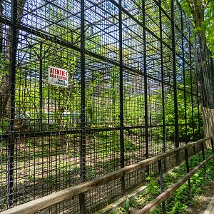 Enclosure of tiger No 2