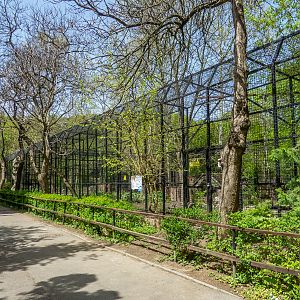 Enclosure of tiger No 4