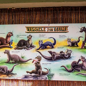sign about otter species