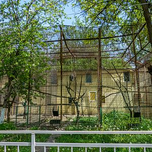 enclosure of monkeys