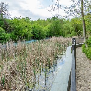 biotope of regional species