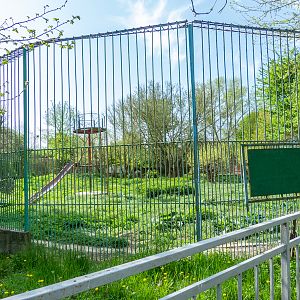 Big enclosure of brown bears