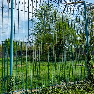 Enclosure of lions No 2