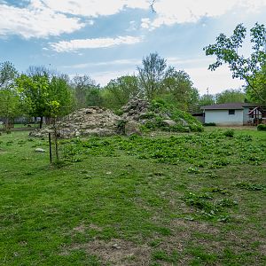 Enclosure of Barbary sheep