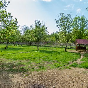 Enclosure of Mouflon