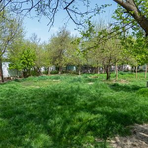 Enclosure of Emu & Greater rhea