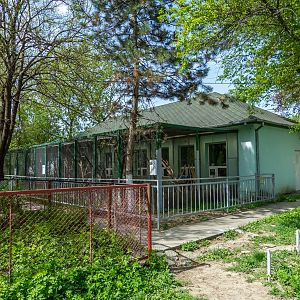 Enclosure of parrots