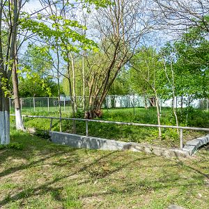 Enclosure of Bactrian camel