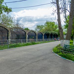 Enclosure of carnivores
