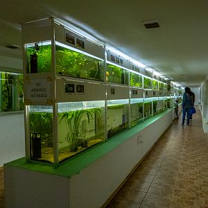 Aquariums & terrariums