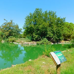 Flamingo pond minus the flaingoes