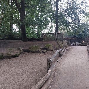 Vietnamese sika deer walkthrough