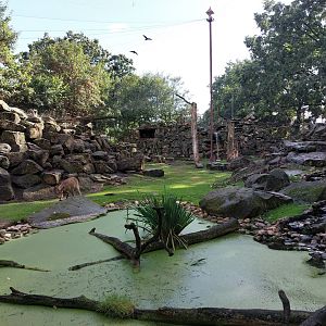 Ibex and vulture aviary