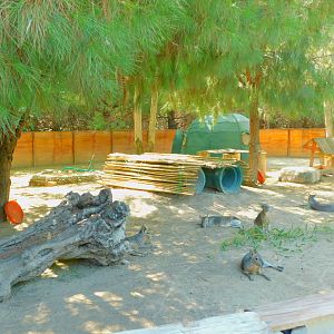 Mara and Wallaby Enclosure