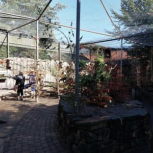 Australian walkthrough