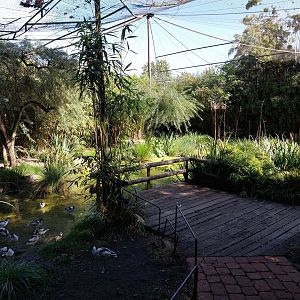 European wader walkthrough