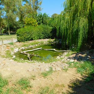 Pond Turtle/Slider Enclosure