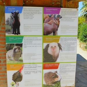 Something isn't right...