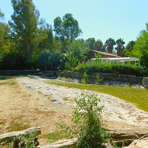 Part of camel enclosure