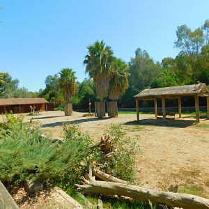 Part of camel enclosure