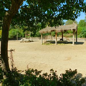 Part of red deer enclosure
